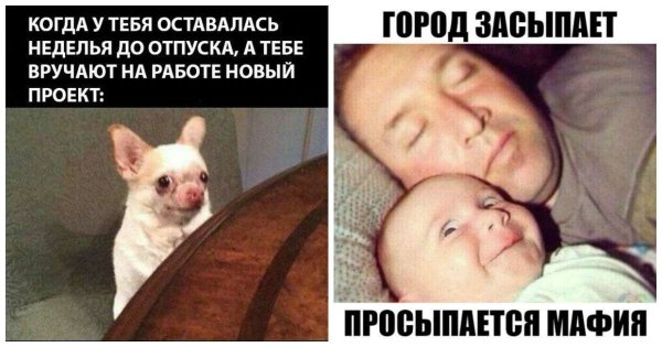 Город засыпазасыпает.... Просвпается мафия...