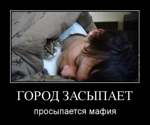 Город сасырает, просыпается м