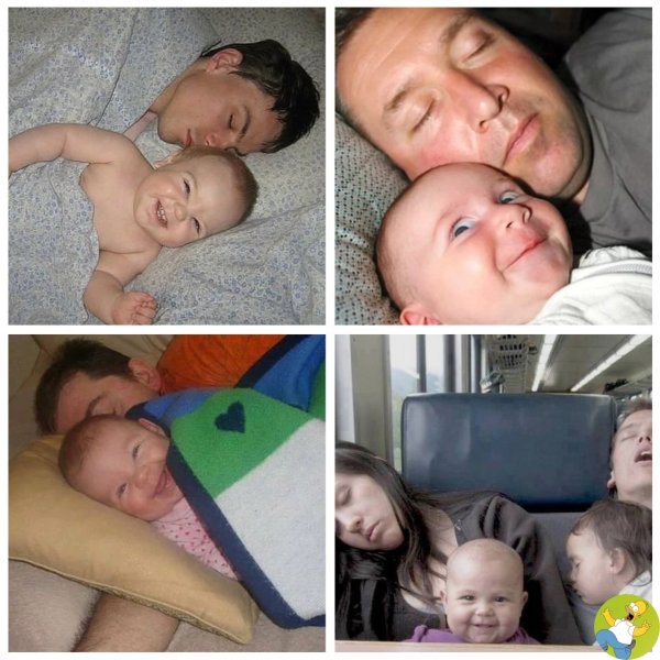 Наступает ночь просыпается мафия