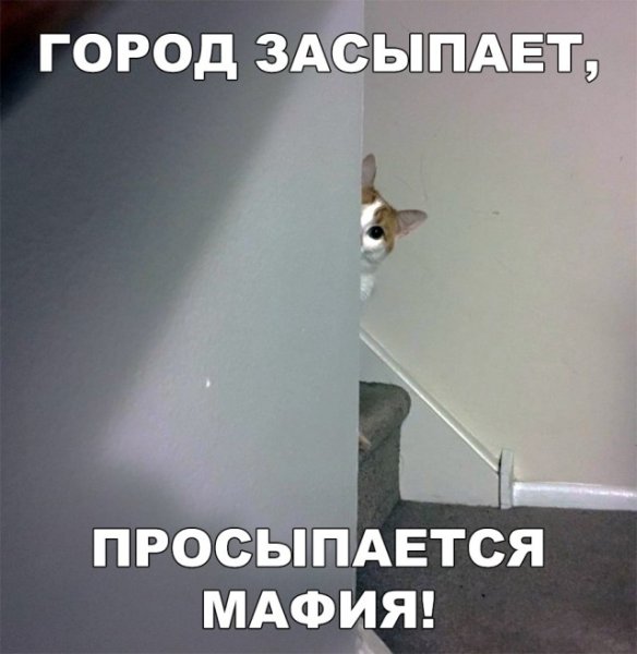 Город засыпает просыпается мафия