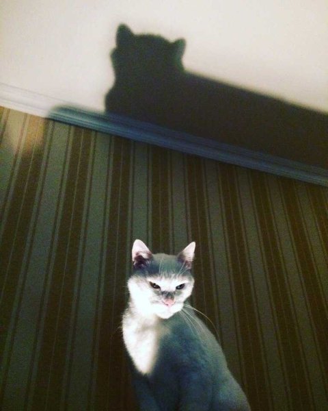 Город сасырает, просыпается м