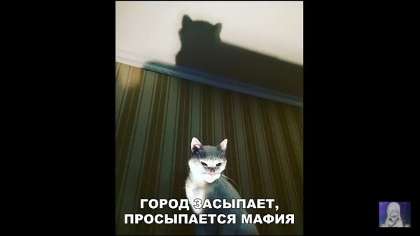 Просыпается мафия