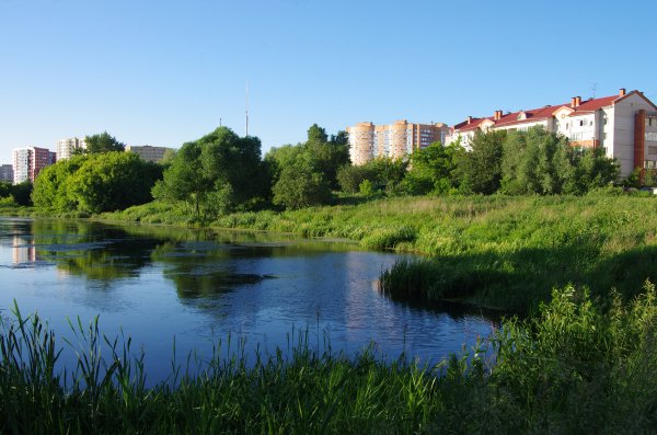 Жуковский город экология фото