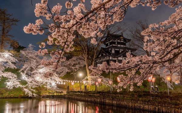 Япония Такада парк Сакура