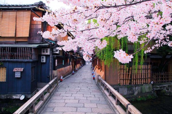 Киото Сакура