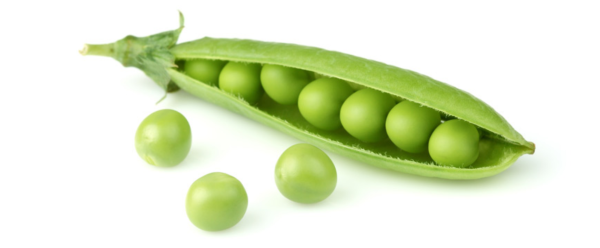 Зеленый горошек на белом фоне