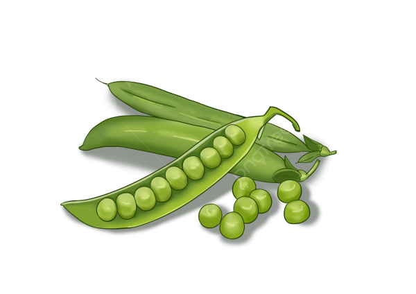 Горошек рисунок для детей