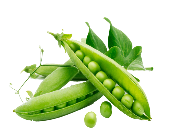 Горох на белом фоне