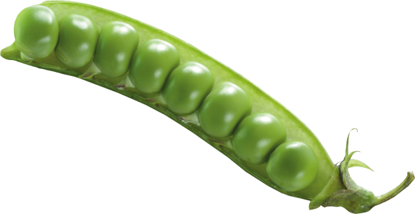 Горох для детей