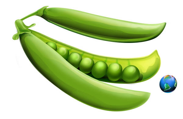 Горошек для детей