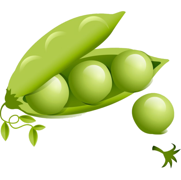 Дети горошинки