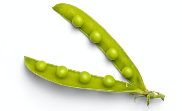 Горошек картинка для детей