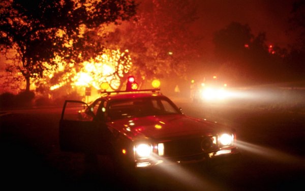 Полицейские машины США ночью