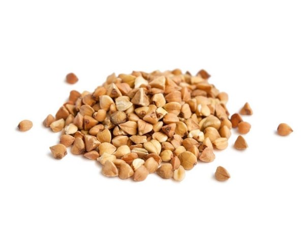 Зерновка гречихи