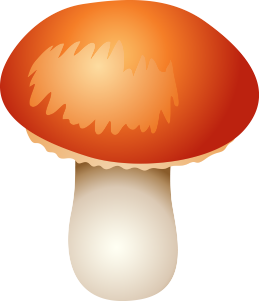 Грибы на белом фоне