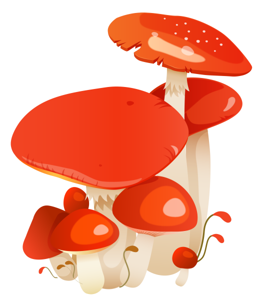 Грибочки для детей