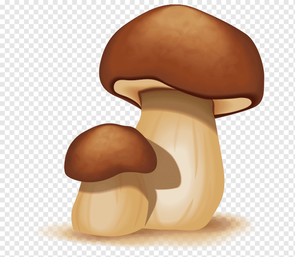 Грибы мультяшные