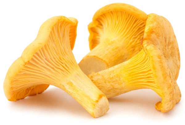 Грибы лисички