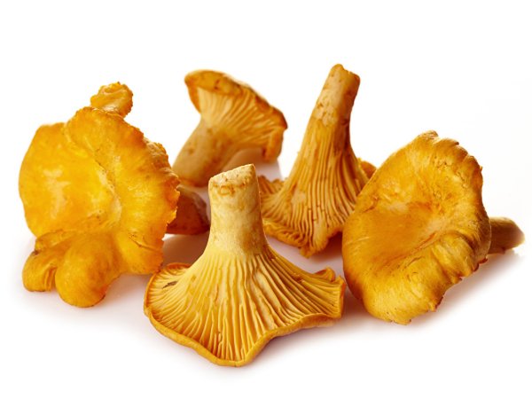 Печенье лисички