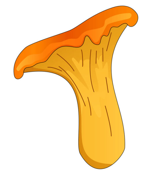 Гриб рисунок