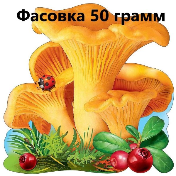 Этикетка грибы лисички