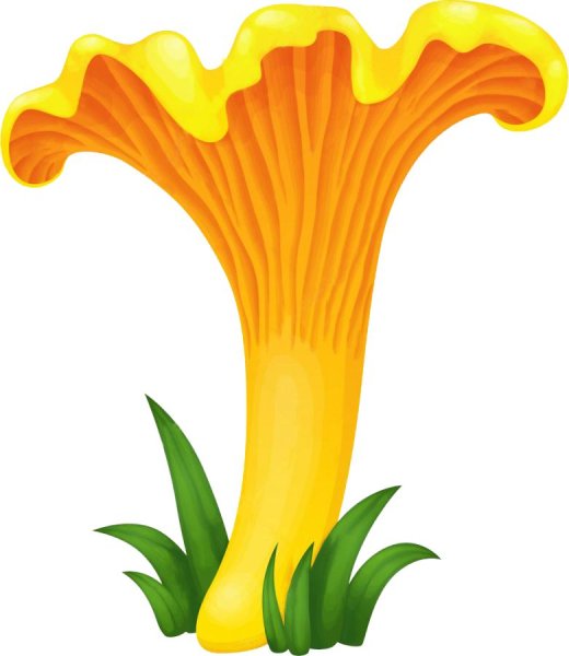 Гриб Лисичка для детей