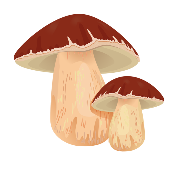 Грибочки для детей