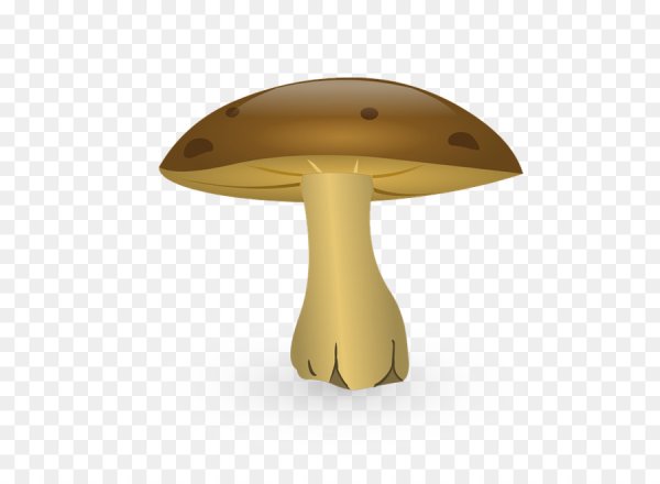 Мультяшные грибы на прозрачном фоне