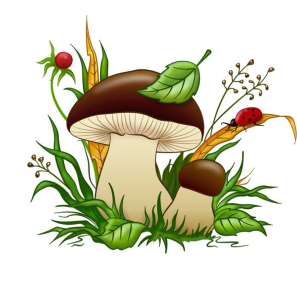 Грибы мультяшные