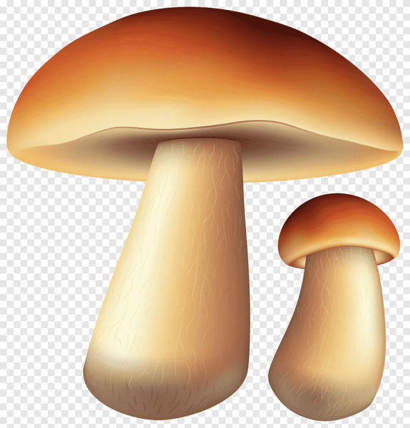 Гриб Mushroom Машрум