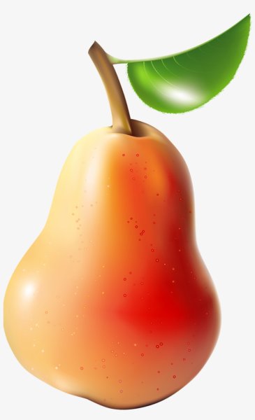 Груша фрукт