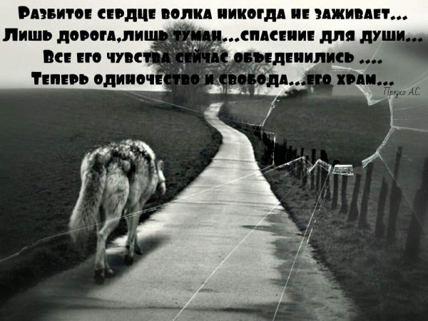 Цитаты про одиноких Волков