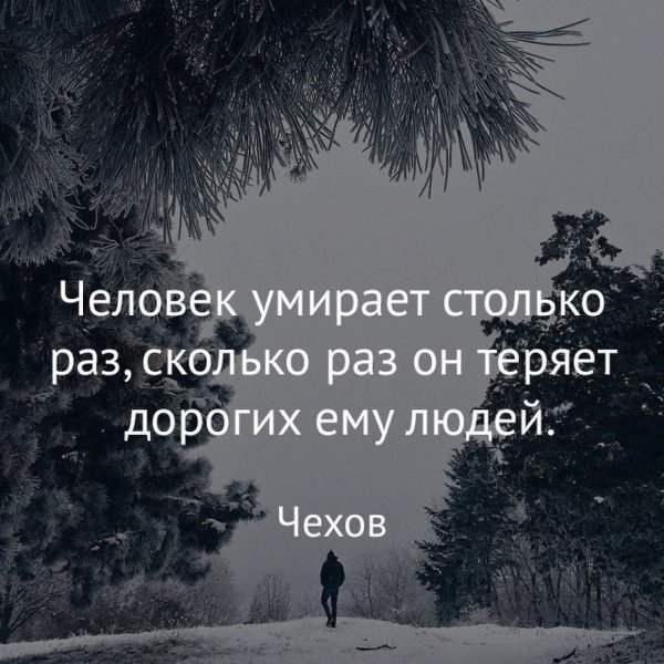 Красивые цитаты