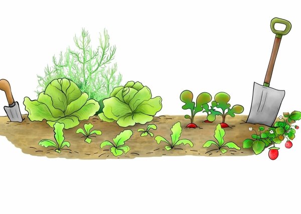 Огород иллюстрация