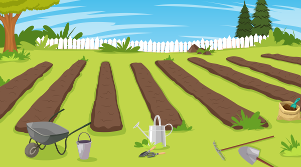 Нарисовать огород