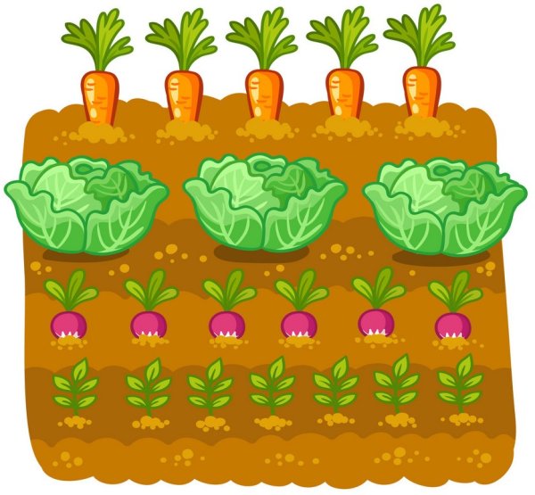 Грядка для детей на прозрачном фоне