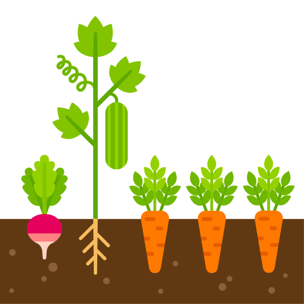 Грядки рисовать