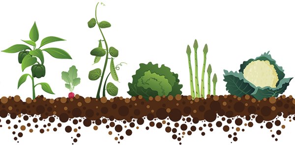 Огород вектор