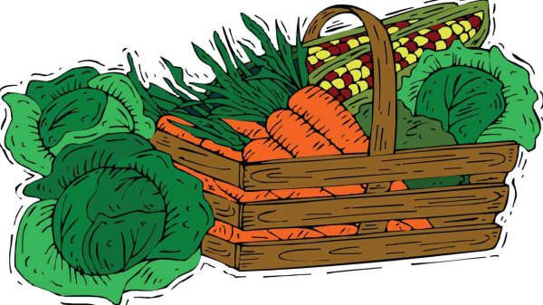 Урожай мультяшный