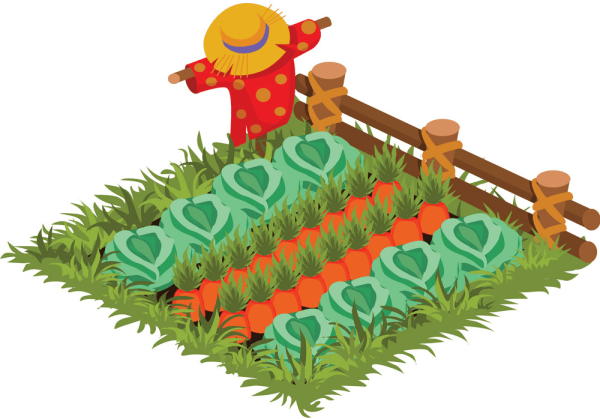 Огород грядка на белом фоне