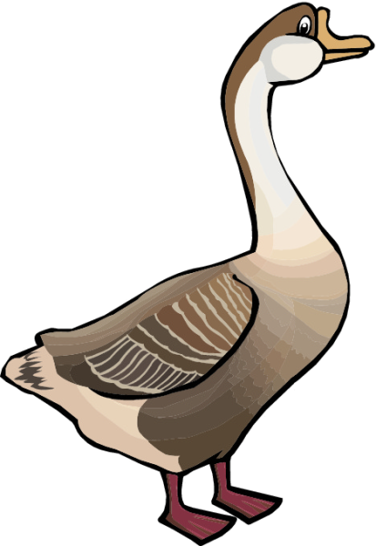 Гусь иллюстрация для детей