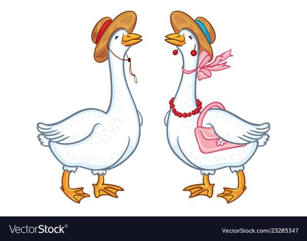 Гусь на белом фоне