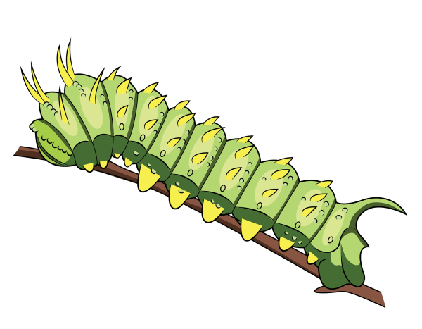 Гусеница без фона