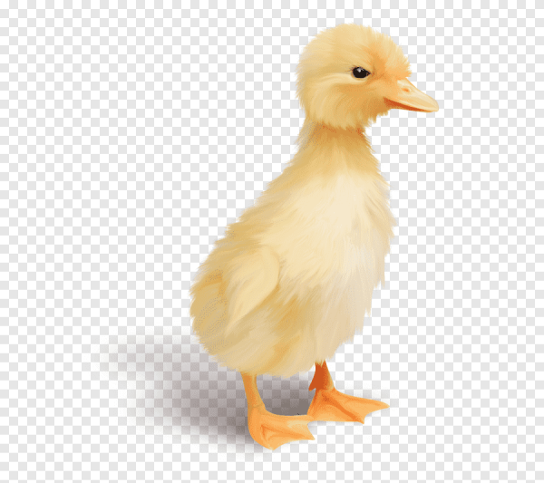 Гусенок для детей