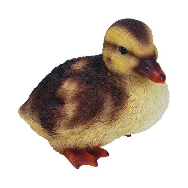 Утенок на белом фоне