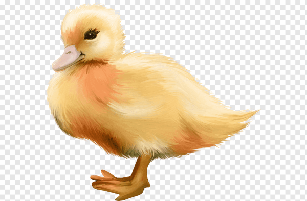 Гусенок мультяшный