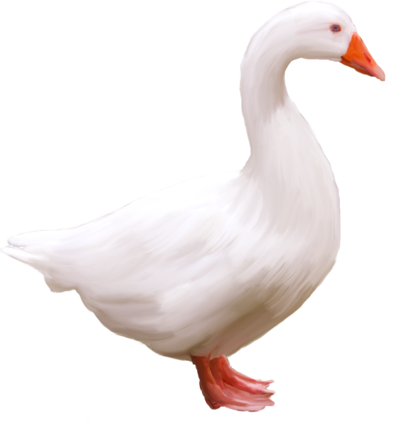 Гусь без фона