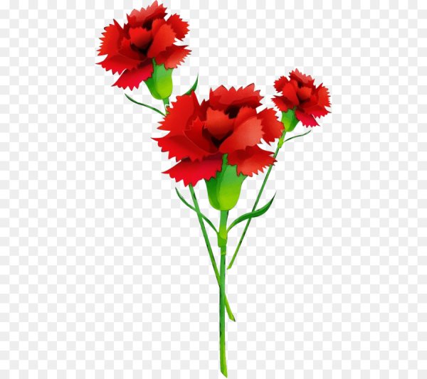 Три гвоздики