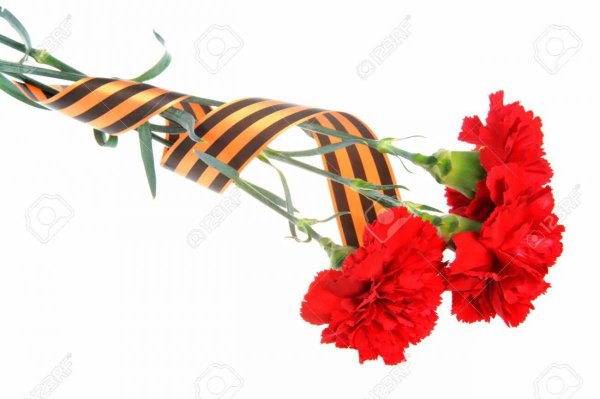 Георгиевская лента с гвоздиками