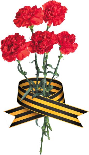 Георгиевская ленточка с гвоздикой